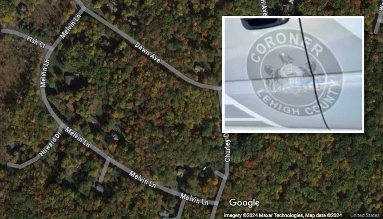 76YearOld Fatally Injured While Cutting Tree In Monroe County