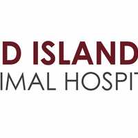 Best Veterinarian On Long Island In 2024: Mid Island Animal Hospital