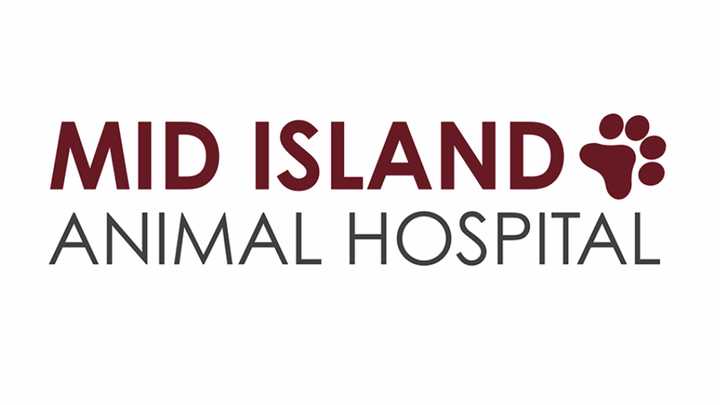 Best Veterinarian On Long Island In 2024: Mid Island Animal Hospital ...