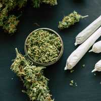 Cannabis Recall Issued In NY After Products Found With Pesticides