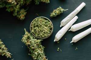 Cannabis Recall Issued In NY After Products Found With Pesticides