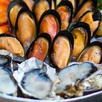 Shell Yeah! 5 Must-Try Seafood Shacks On Long Island, According To Foodies