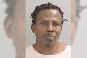 Maserati Fugitive Busted After Brawling With, Injuring Cops During Levittown Traffic Stop: PD