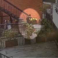 WATCH: Crypto Hostage Seen Bolting From NYC Townhouse After 17 Days Of Torture, Report Says
