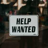 Job Growth Beats Forecasts Despite Stalling Labor Market, Shrinking GDP Under Trump