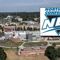 University Of New Haven Joins Long Island, Wagner In NEC As Part Of NCAA D-I Move