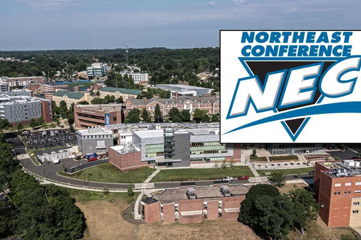 University Of New Haven Elevating Sports To NCAA D-I, Joining Northeast Conference