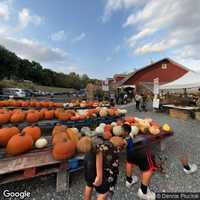 Demarest Farms