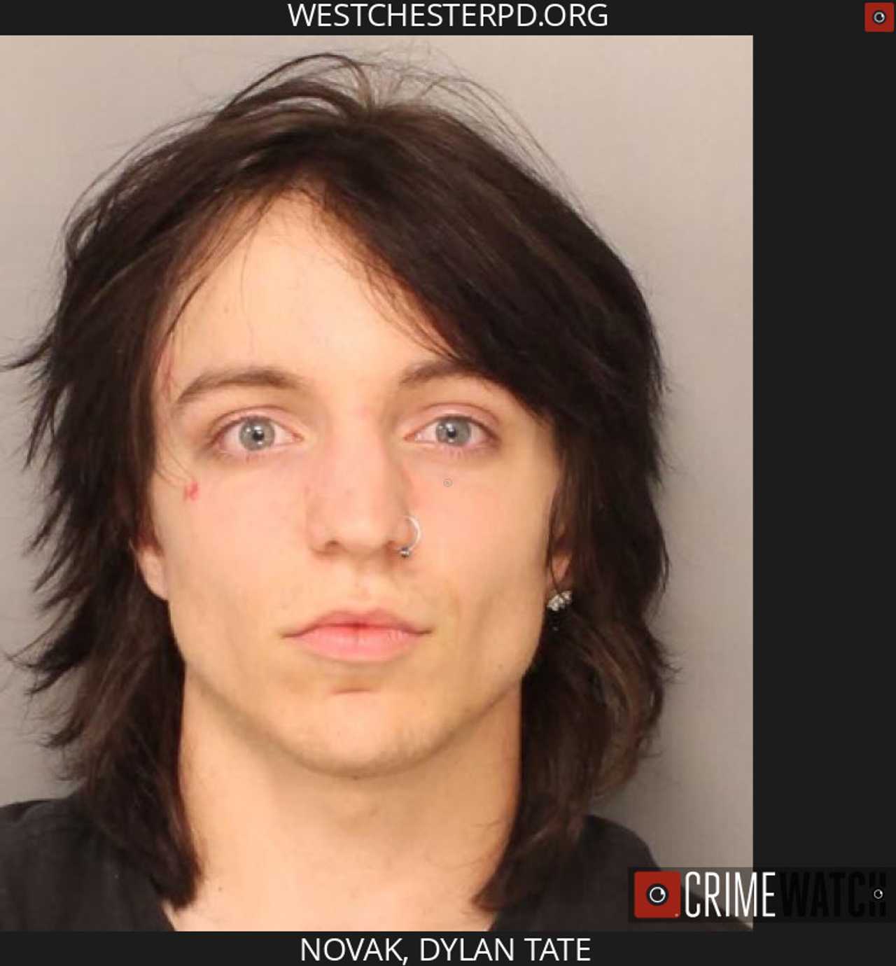 Officers Injured, Business Window Shattered By Belligerent Man West