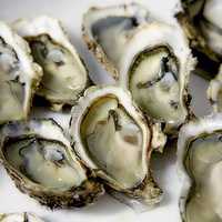 Norovirus Outbreak Prompts Recall Of Oysters Sold In NJ