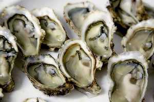 Norovirus Outbreak Prompts Recall Of Oysters Sold In PA