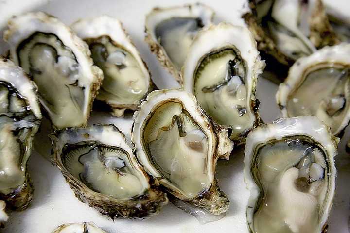 Norovirus Outbreak Prompts Recall Of Oysters Sold In NY