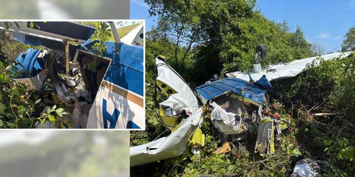The plane crash wreckage.