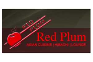 Best Chinese Restaurant In Westchester County In 2024: Red Plum