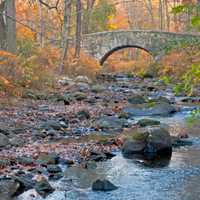 Best Park and Date Night Activity in 2024: Rockefeller State Park Preserve