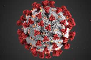 COVID-19: China Lab Leak Cited As Pandemic's 'True Origin' By Trump Administration
