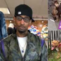 Cruel Newark Breeder Posted Videos Of Dogs Killing Hawk, Antagonizing Cat: AG