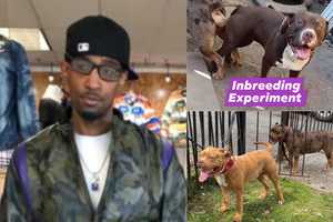 Cruel Newark Breeder Posted Videos Of Dogs Killing Hawk, Antagonizing Cat: AG