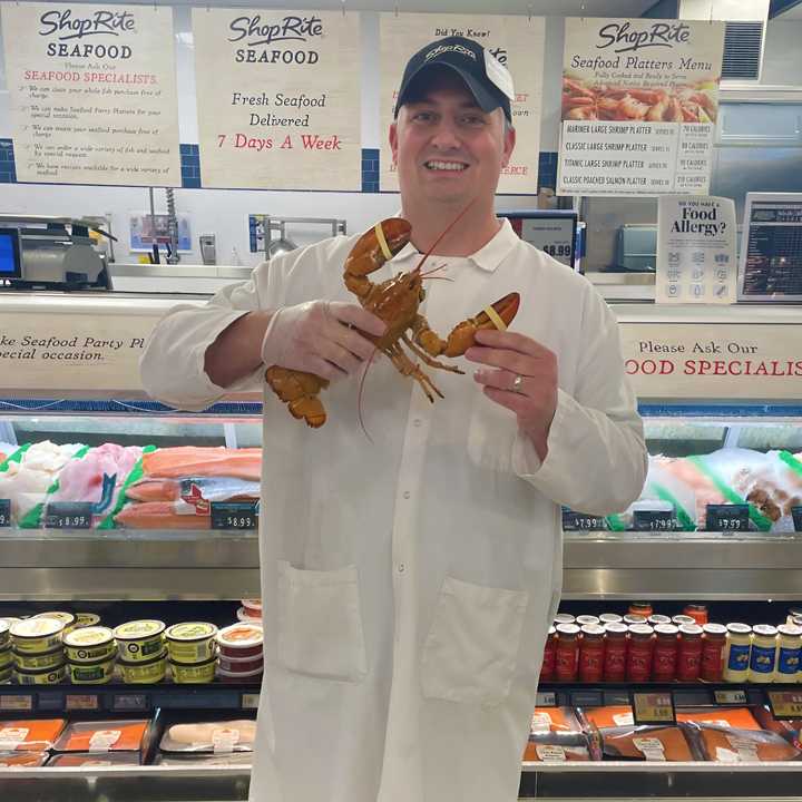 Jerry the golden lobster was found in a shipment delivered to the Carmel ShopRite's seafood department. 