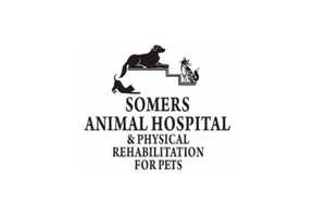 Best Veterinarian In Westchester County In 2024: Somers Animal Hospital