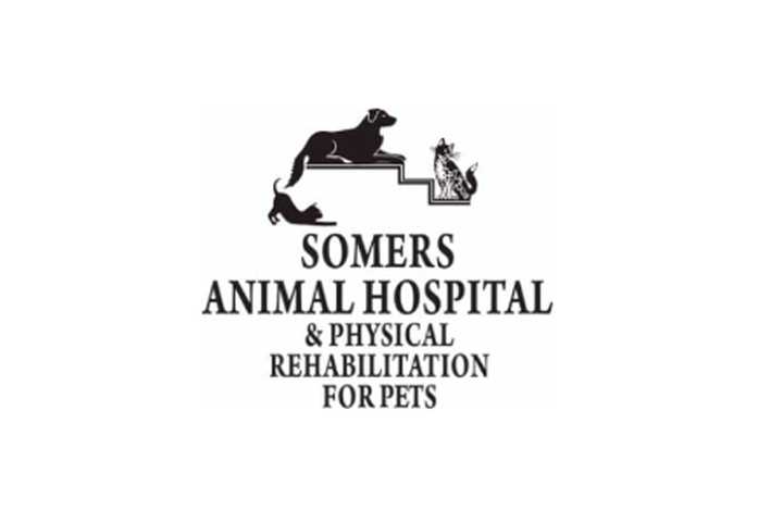 Best Veterinarian In Westchester County In 2024: Somers Animal Hospital