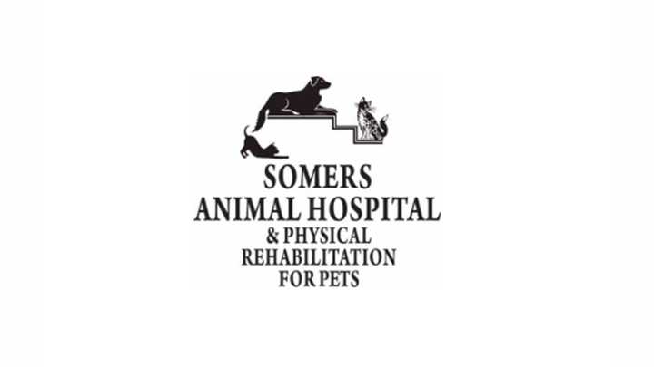 Your 2024 Westchester County Readers' Choice Winner for Best Veterinarian: Somers Animal Hospital.