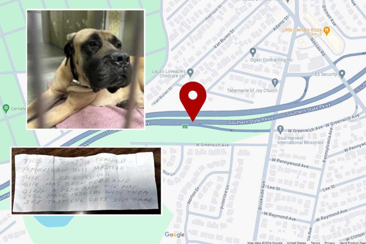 Month After Dog Found Tied To Pole On Southern State Parkway, Tips Lead