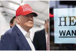 Private Sector Loses Jobs For First Time Since 2023 Amid Trump Tariffs, Inflation: ADP