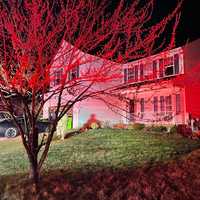 Two Dogs Killed, Family Displaced In Maryland House Fire: Officials