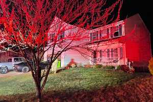 Two Dogs Killed, Family Displaced In Maryland House Fire: Officials