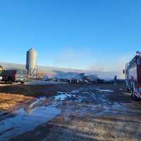 20,000 Chickens Perish In Devastating Blaze At Maryland Farm: Fire Marshal