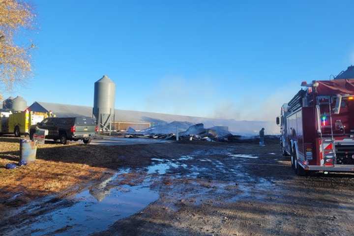 20,000 Chickens Perish In Devastating Blaze At Maryland Farm: Fire Marshal