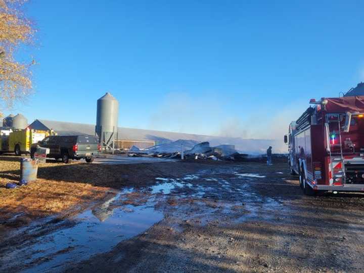 Approximately 20,000 chickens perished as a result of the fire.