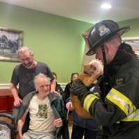 Sprinklers Save Senior Condo Complex, Cat Reunited With Owner After Fire In Maryland