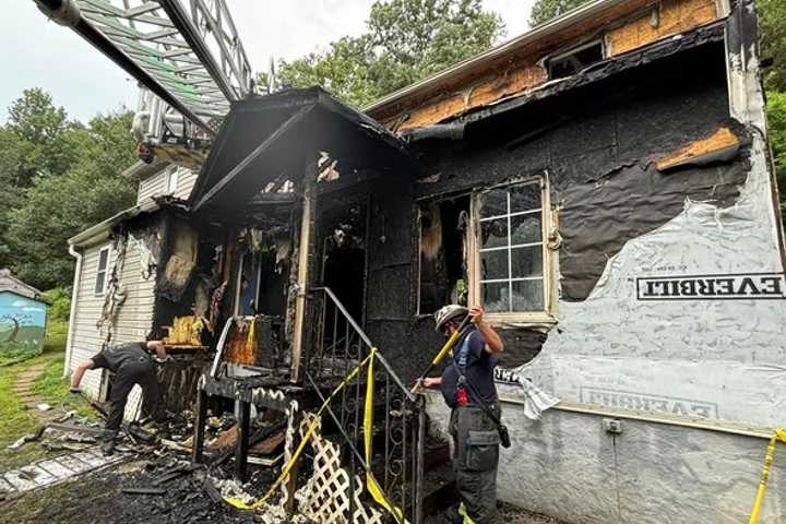 Cats, Dogs, Ducks Rescued From Burning Maryland Home: Fire Marshal