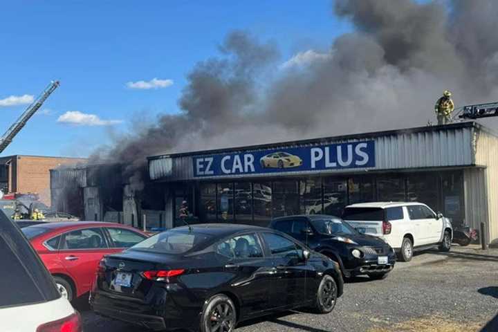 $2M Blaze Guts Edgewood Car Dealership, Employee Injured: Fire Marshal