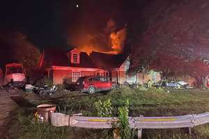 Seven Dogs Perish In Massive Maryland Blaze That Displaced Family: Fire Marshal