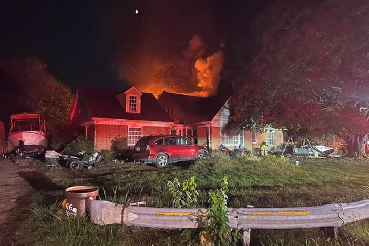 Seven Dogs Perish In Massive Maryland Blaze That Displaced Family: Fire Marshal