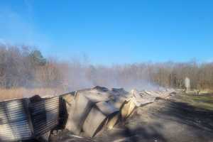 41,000+ Birds Perish In Maryland Chicken House Blaze: Fire Marshal