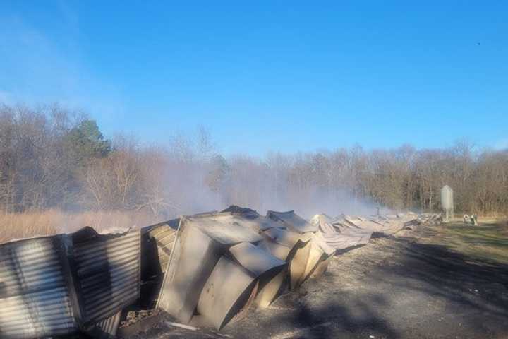 41,000+ Birds Perish In Maryland Chicken House Blaze: Fire Marshal