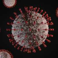COVID-19: ‘Razor-Blade Throat’ Variant Spreading Rapidly In US
