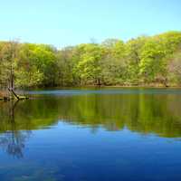 <p>Weir Farm National Historical Park.</p>