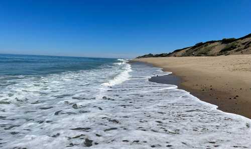Poop Problem 85 Of VA Beaches - White Crest Beach 