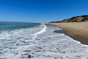 NJ Beaches Were Among East Coast's Cleanest In 2024, New Study Shows