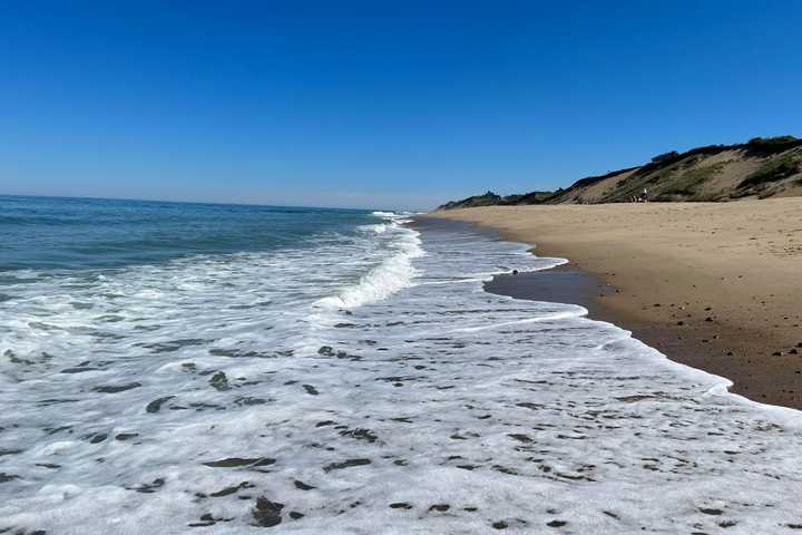 NJ Beaches Were Among East Coast's Cleanest In 2024, New Study Shows
