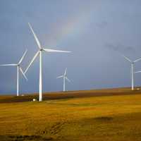 PA Among 20 Best States For Environmental Protections, New Study Says: Here's Why