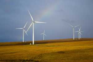 NJ Among 10 Best States For Environmental Protections, New Study Says: Here's Why