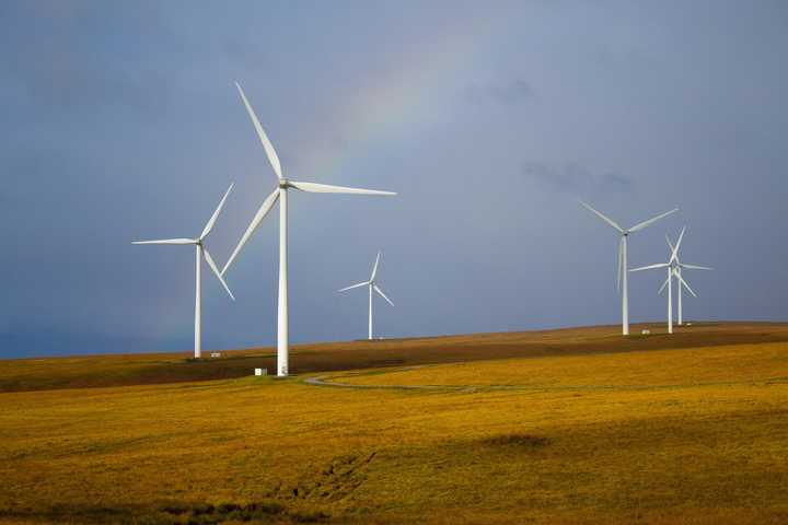 NJ Among 10 Best States For Environmental Protections, New Study Says: Here's Why