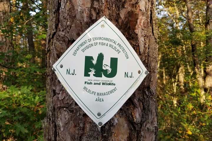 Man's Body Found In South Jersey Wildlife Management Area, Prosecutors Say