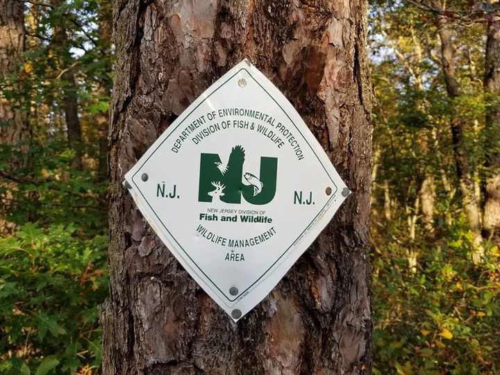 A wildlife management area sign for the New Jersey Department of Environmental Protection.